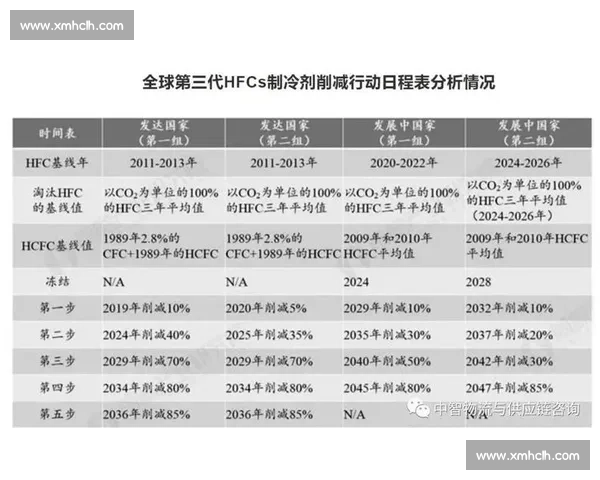 体育运动发展历程与社会影响研究及未来趋势分析